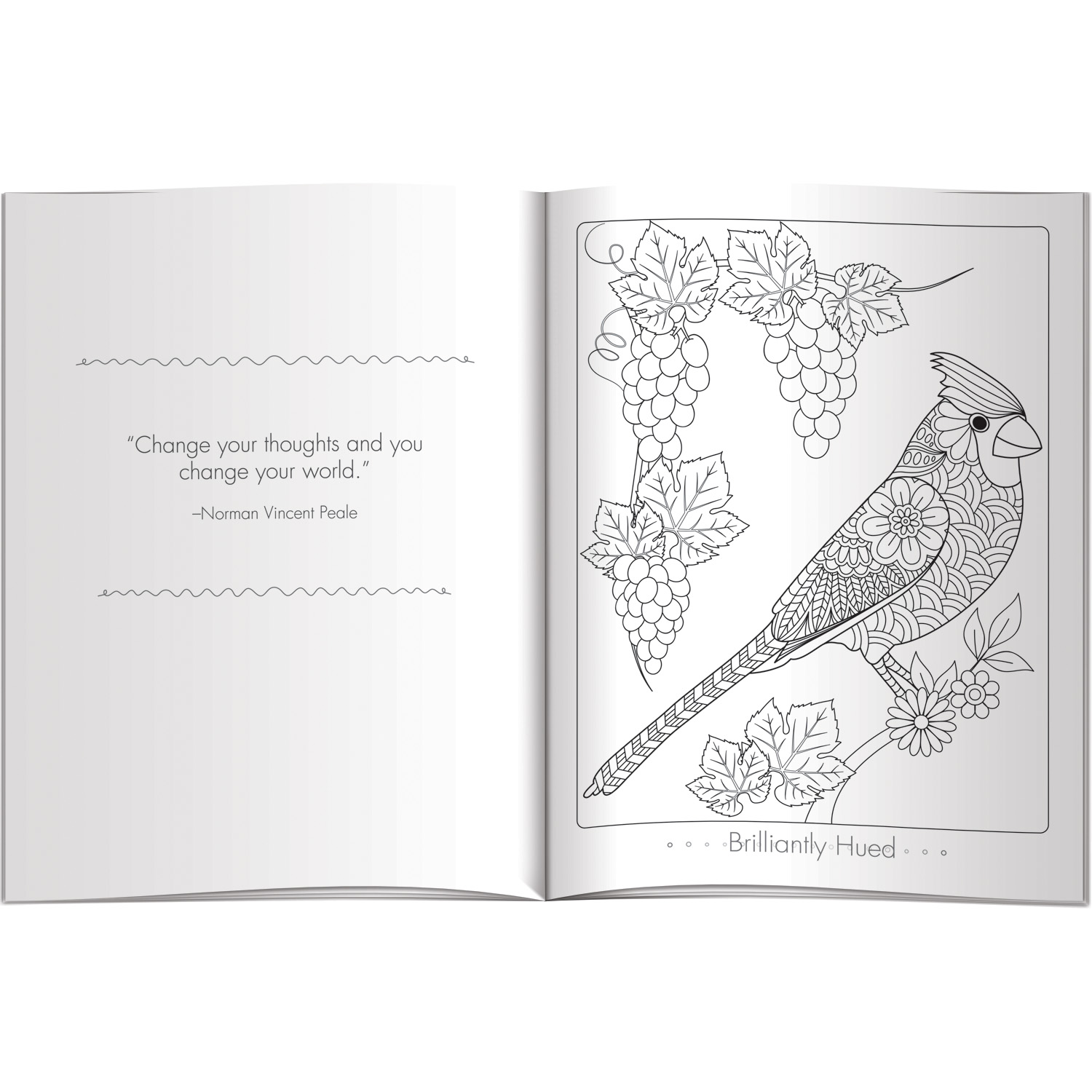 Color Comfort - Color Meditations (Birds) 3