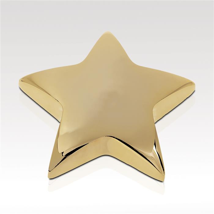 Star Paperweight 2