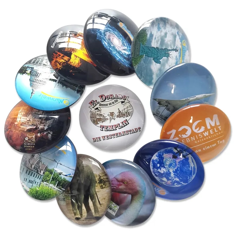 Glass Fridge Magnet Set (Set of 4) 5
