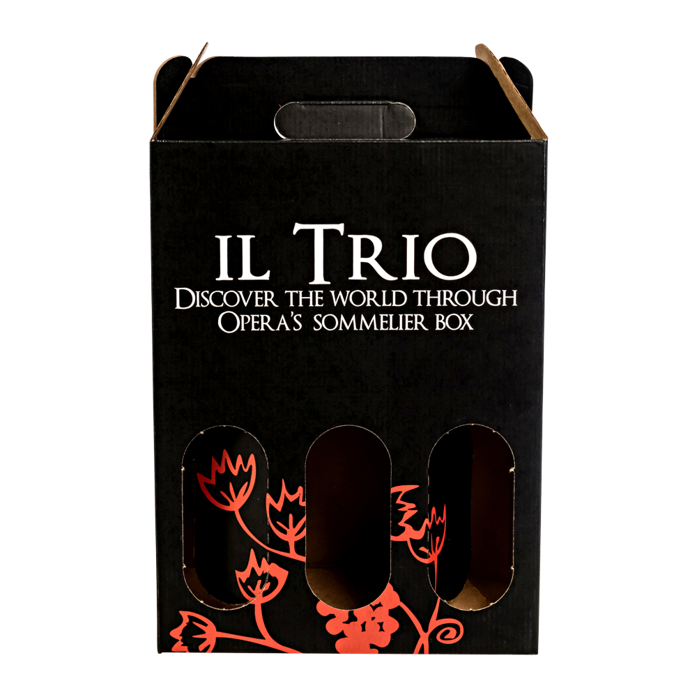 3-Bottle Cardboard Carrier 5
