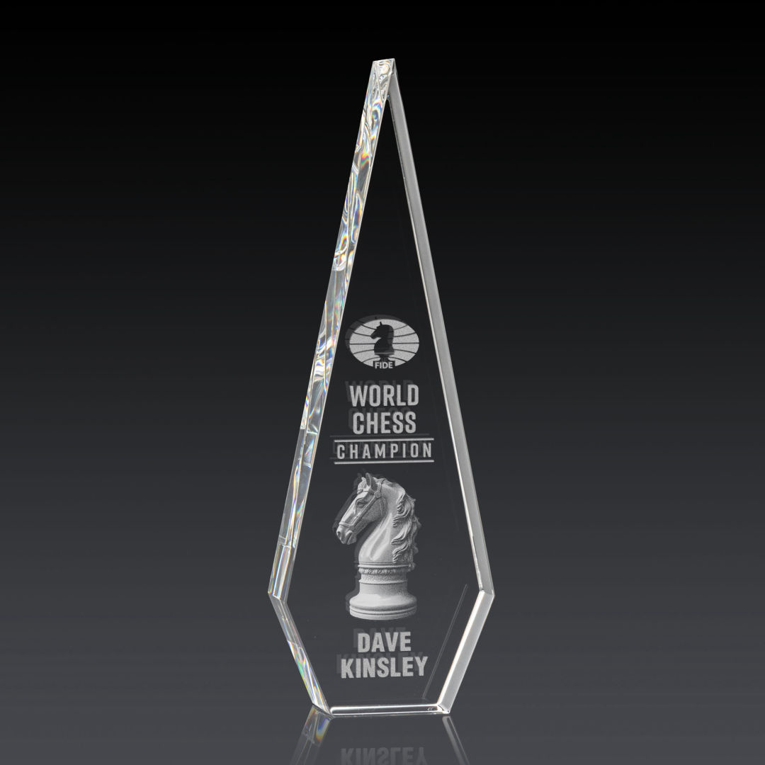 Springfield 3D Award 8