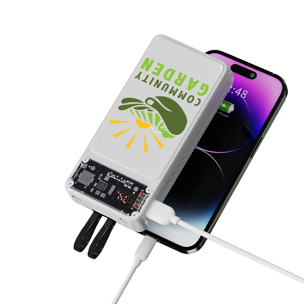Winnetka Transparent Corded Power Bank 20000 8