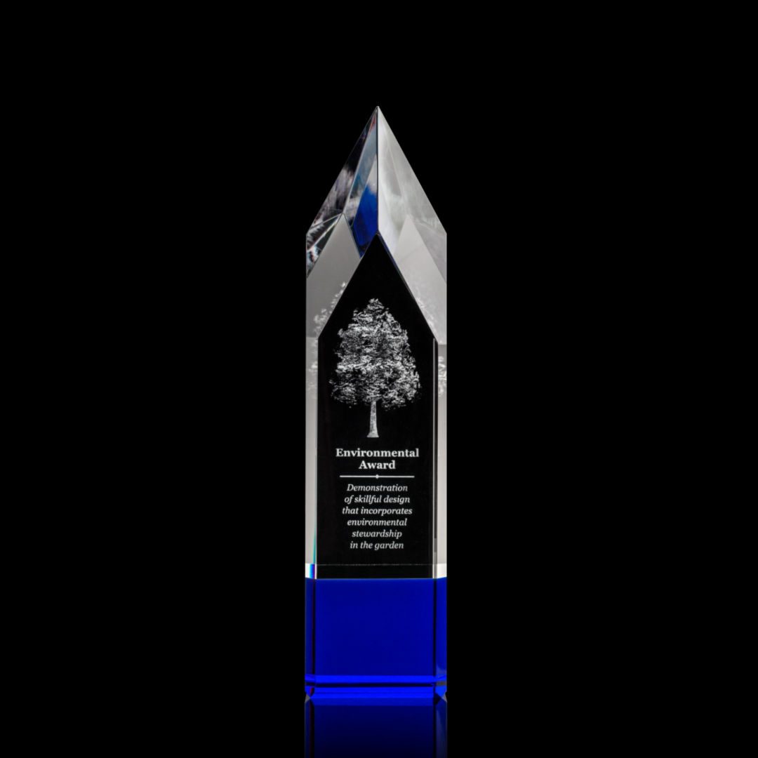 Coventry 3D Award - Blue 3