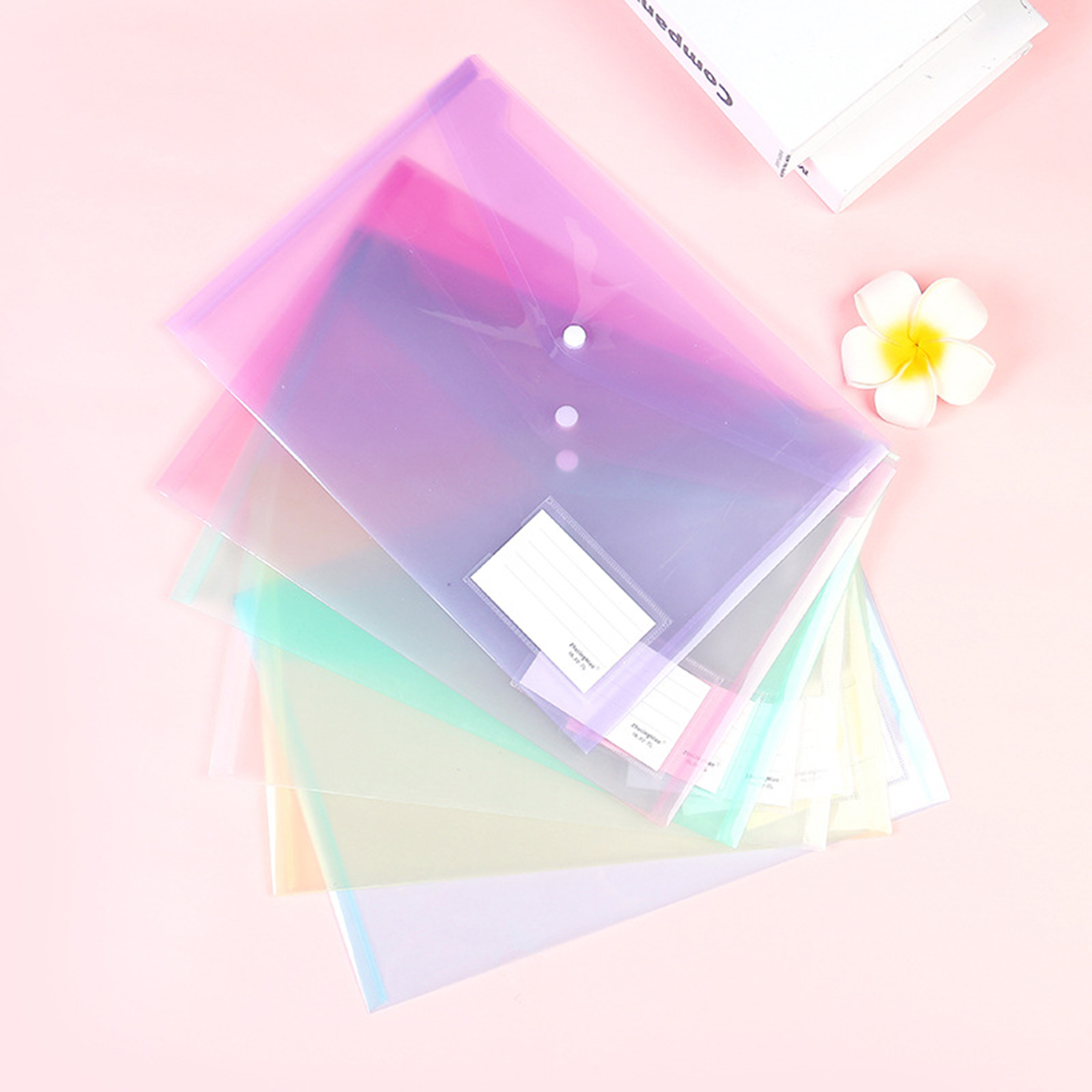 A4 File Folder 4