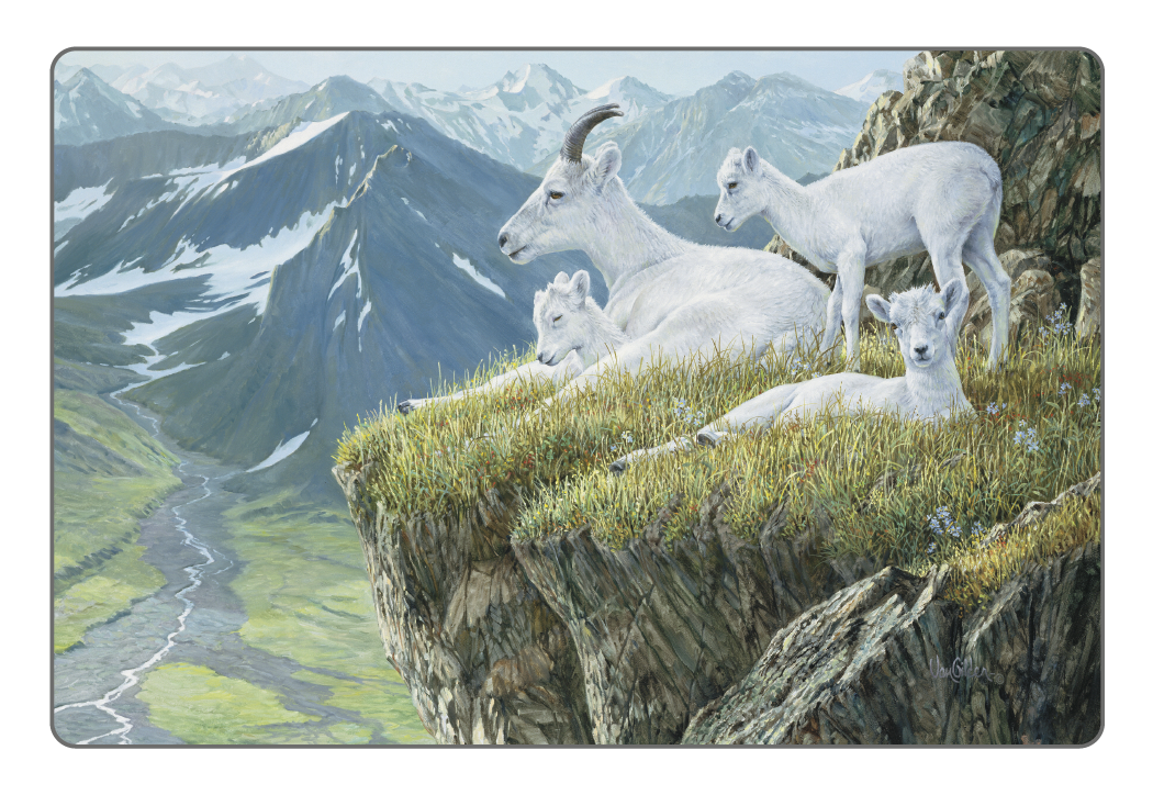 Triumph® Calendars Wildlife Art Pocket Calendar 2