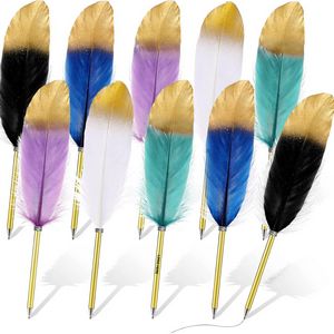 Colorful Feather Pen 11