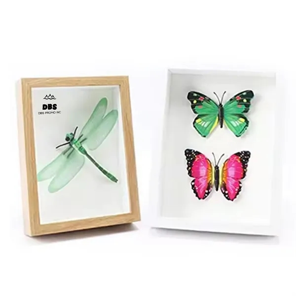 Elegant Hollow Glass Specimen Display Frame 1