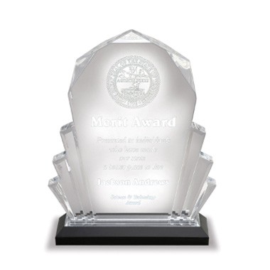 6"x9" Inch Blue Faceted Impress Acrylic Trophy 2