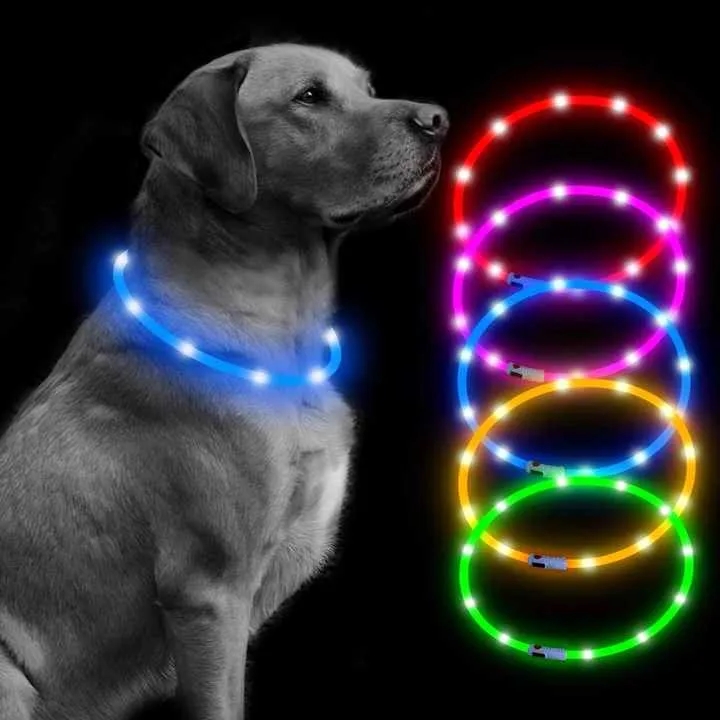 LED Dog Collar 6