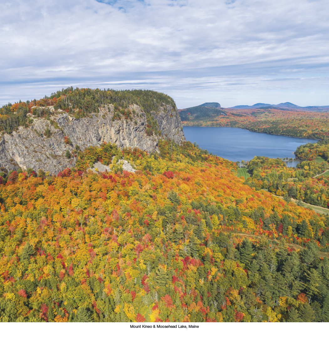 HotLine® Products Scenic America® Executive 21