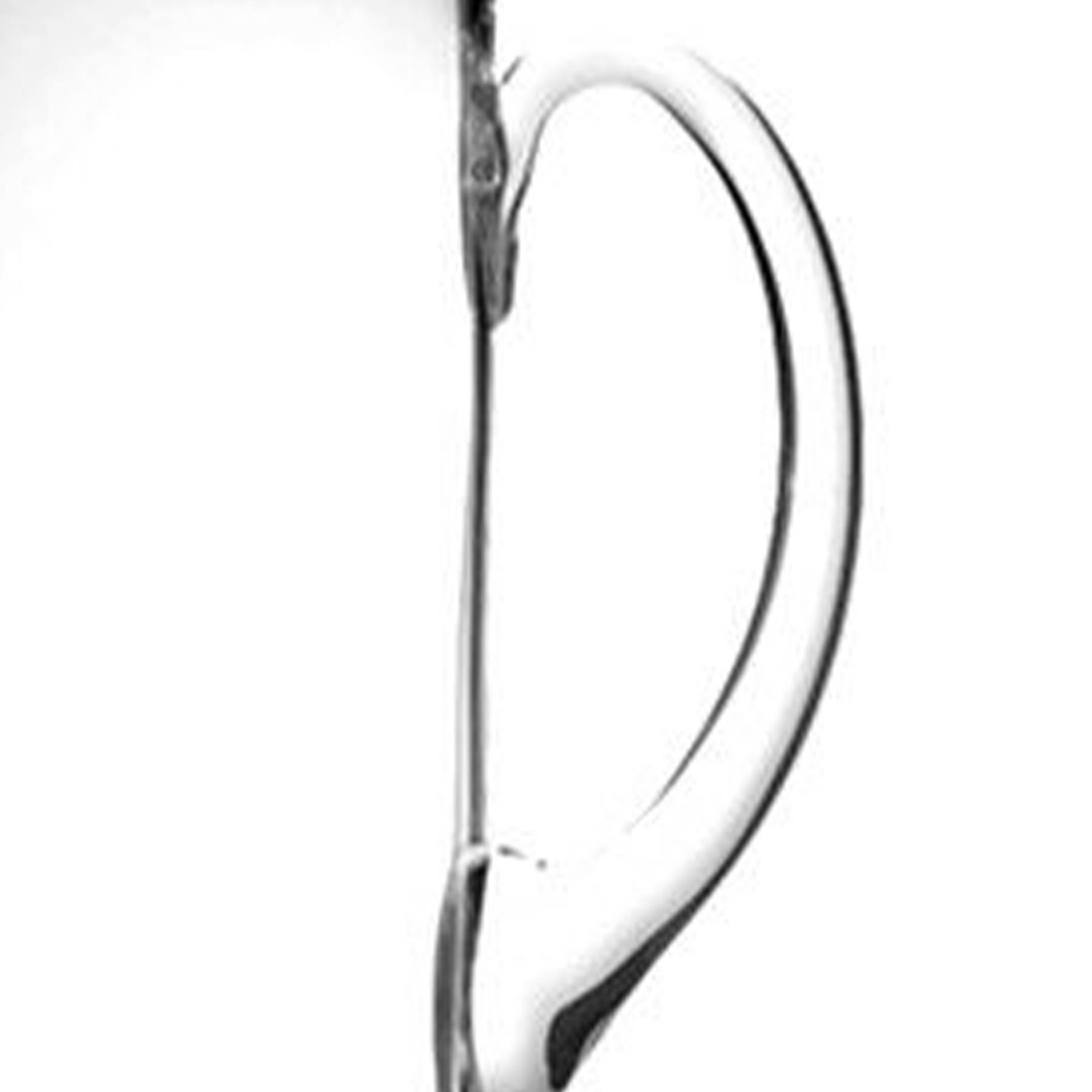 Eagle beaked glass cup with handle 4