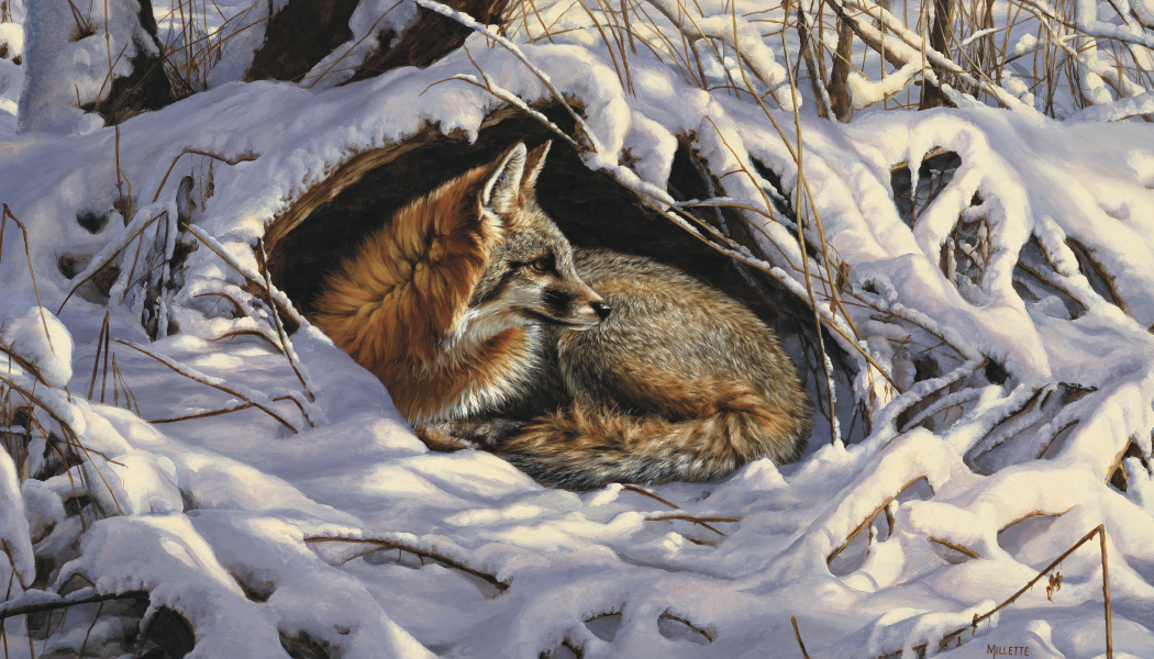 Triumph® Calendars Wildlife Art Calendar 1