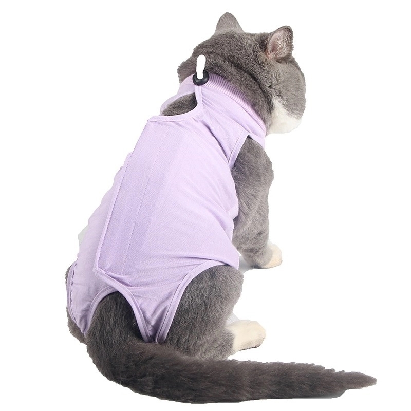 Cat Postoperative Recovery Suit 2