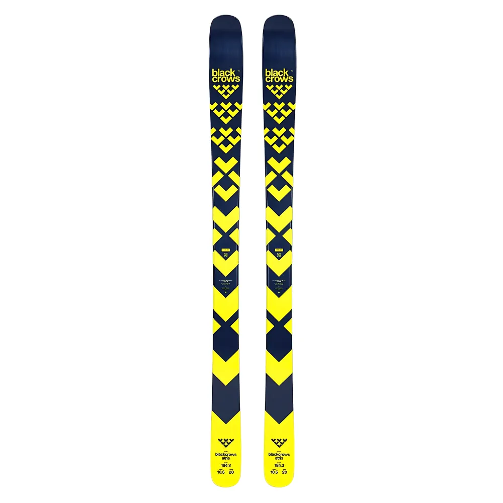 Custom Snow Skis 2