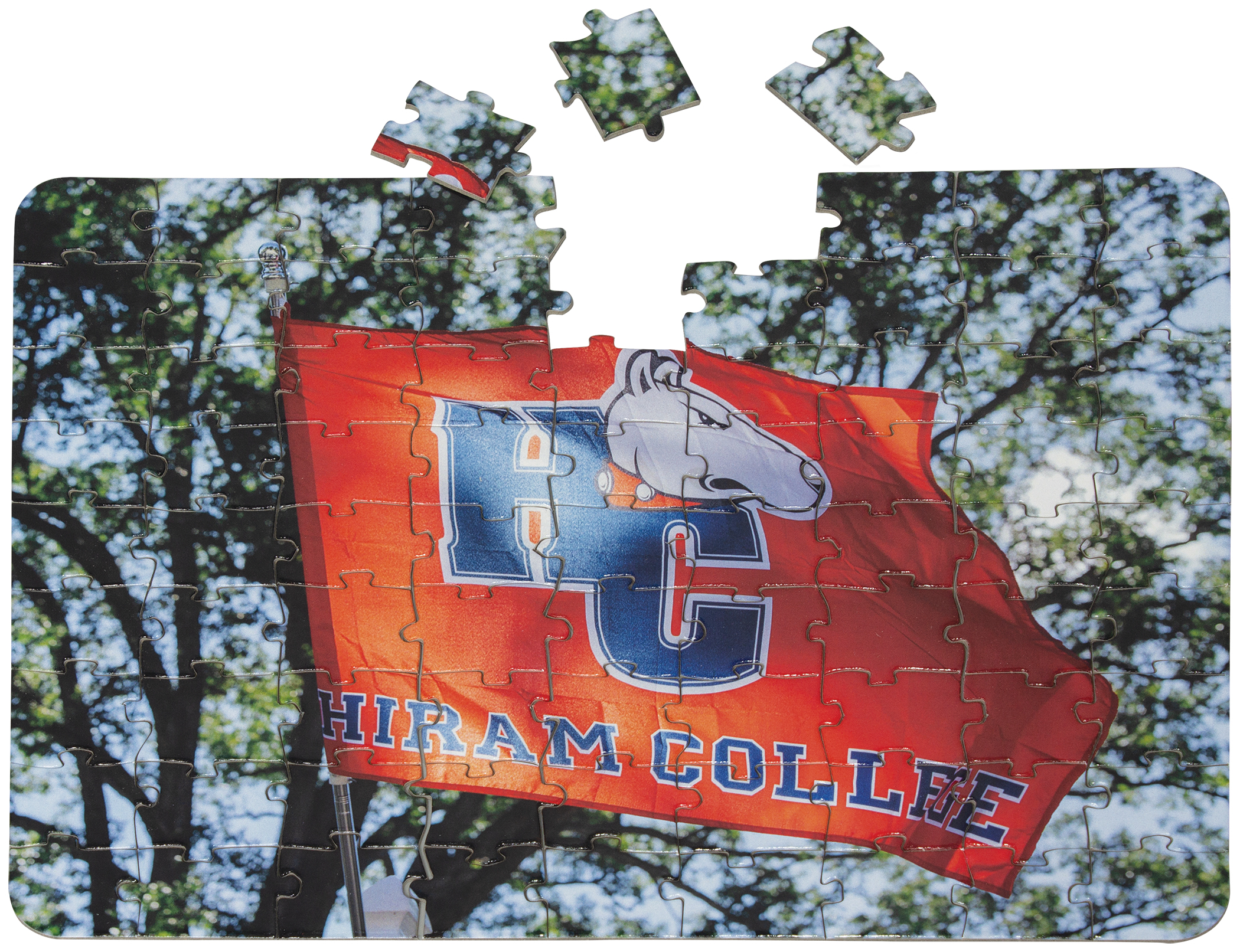 81 Pieces - 8 1/4" x 10 1/2" - Medium Puzzle 2