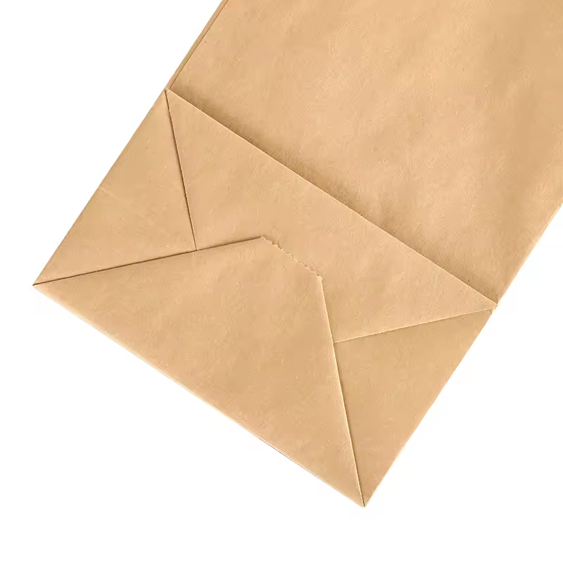 Lunch Paper Bag 5
