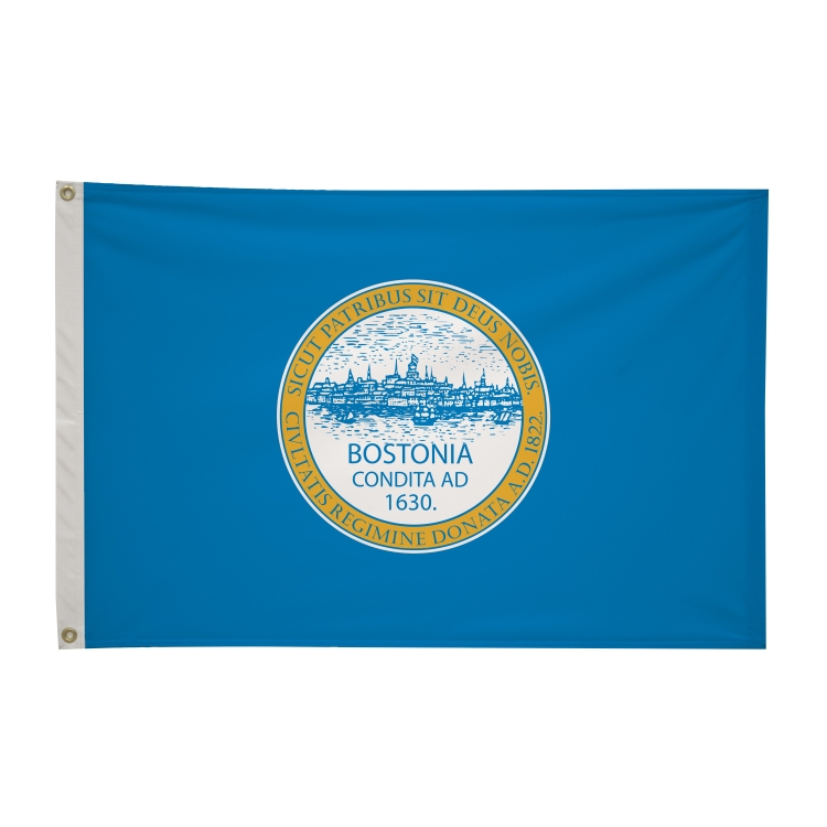 2' x 3' City Flags 18