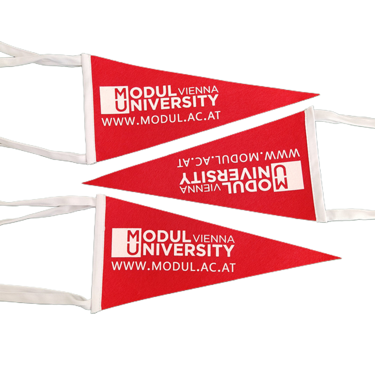 Felt Pennant Flags 2
