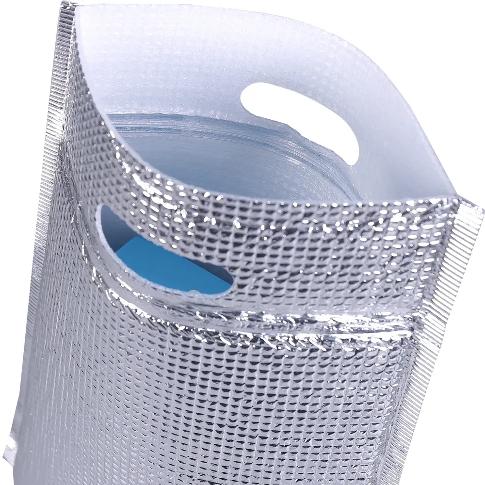 Disposable Cooler Bags with Zip Lock & Handle 3