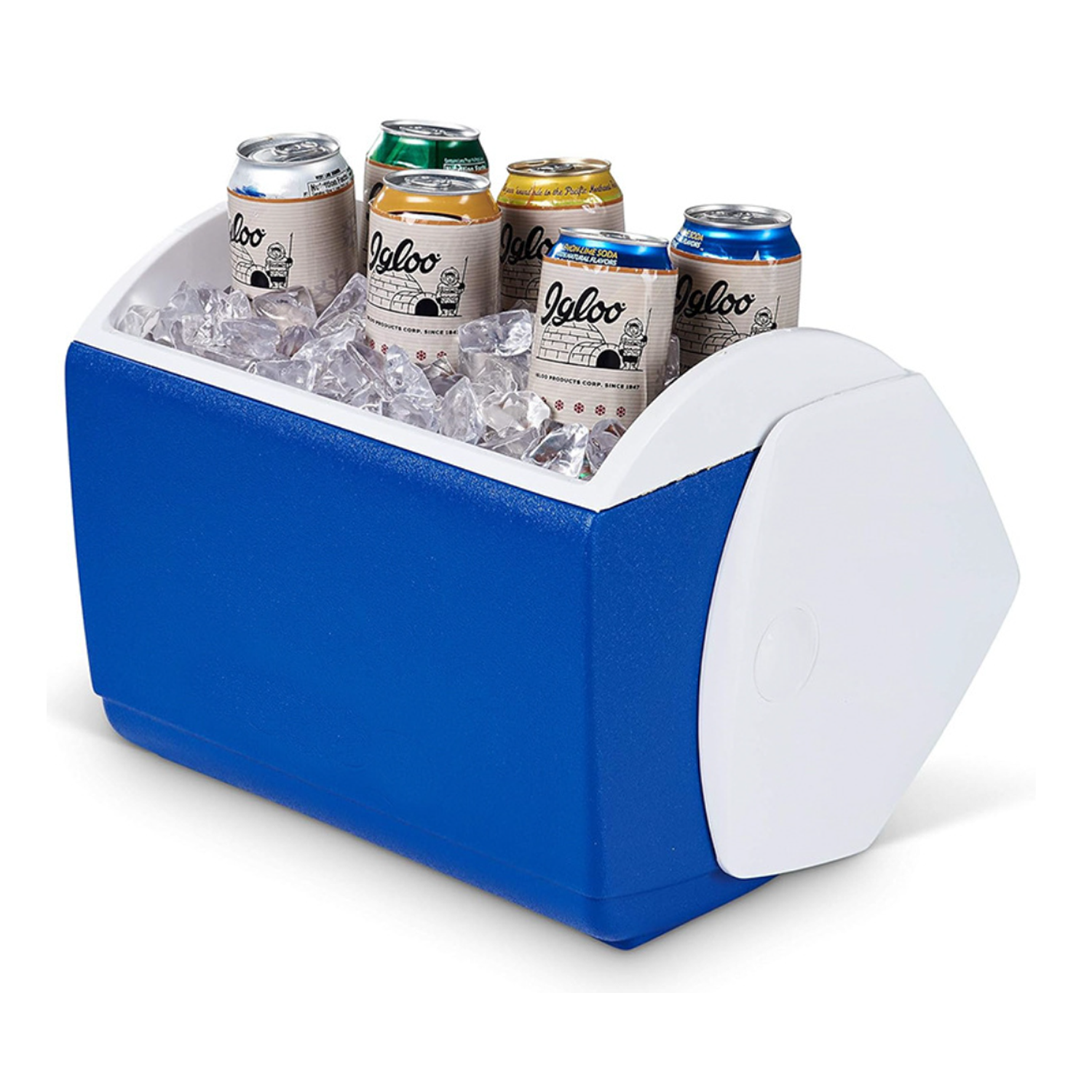 Hard Shell Plastic Insulated Box Food And Beverage 6