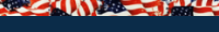 Americana Adult Pullover Hoodie 5