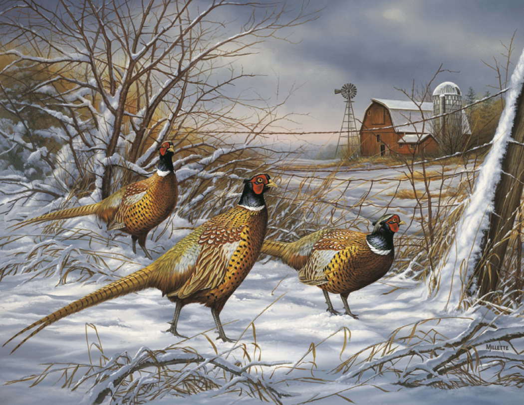 HotLine® Products Wildlife Collection Appointment Calendar - Stapled 36