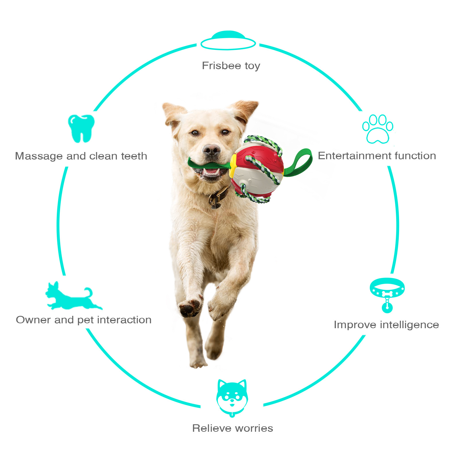 Dog Toy Foldable Flying Disc /Flyer 2