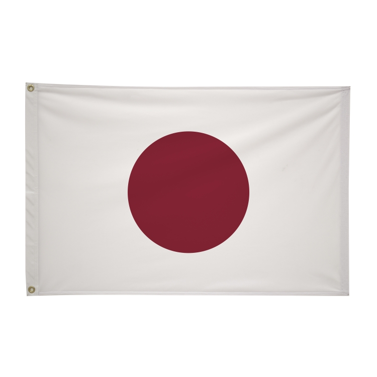 2' x 3'International Flag 281