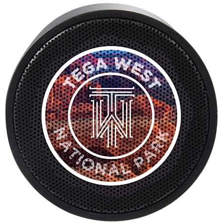 BuzzTurn Recycled Bluetooth Speaker 84