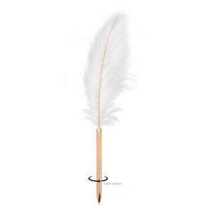 Feather Metal Pen With Gift Box 18