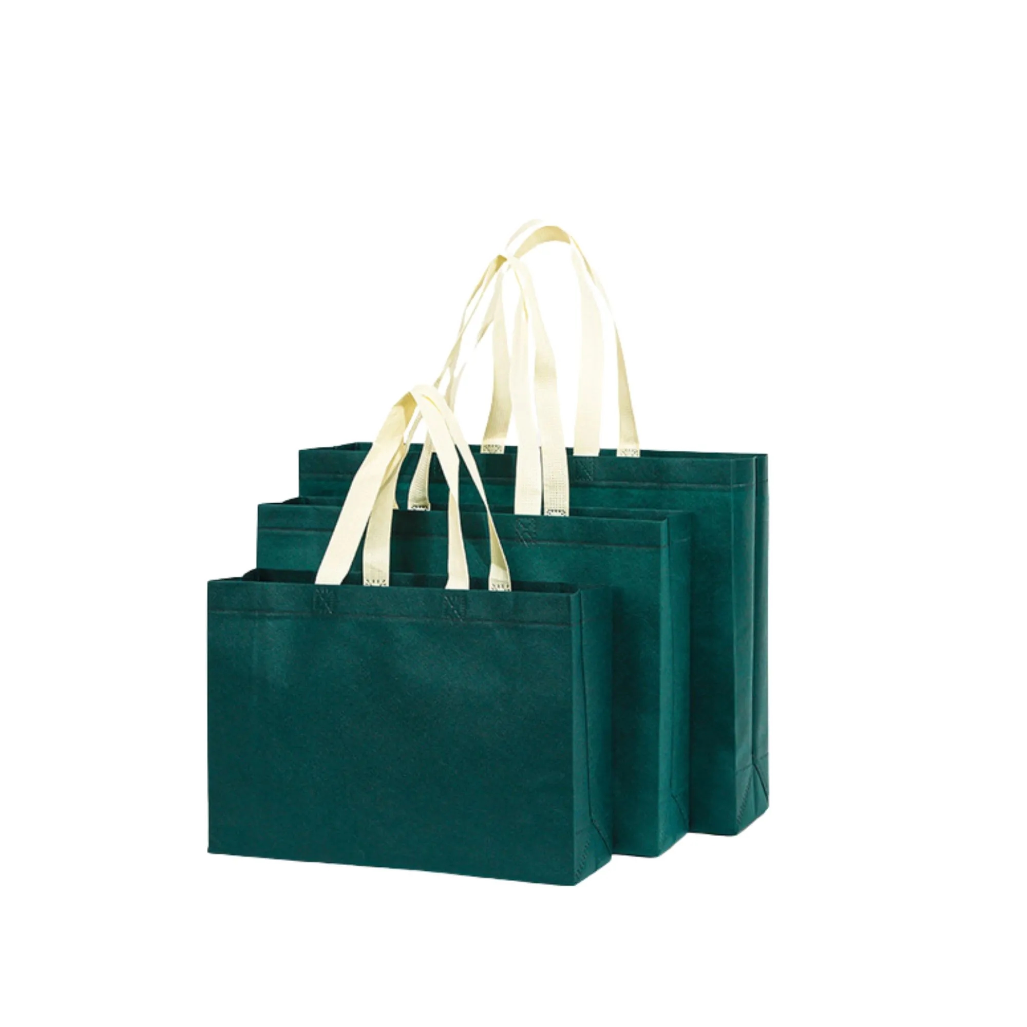 Reusable Eco Friendly Shopping Bag 10