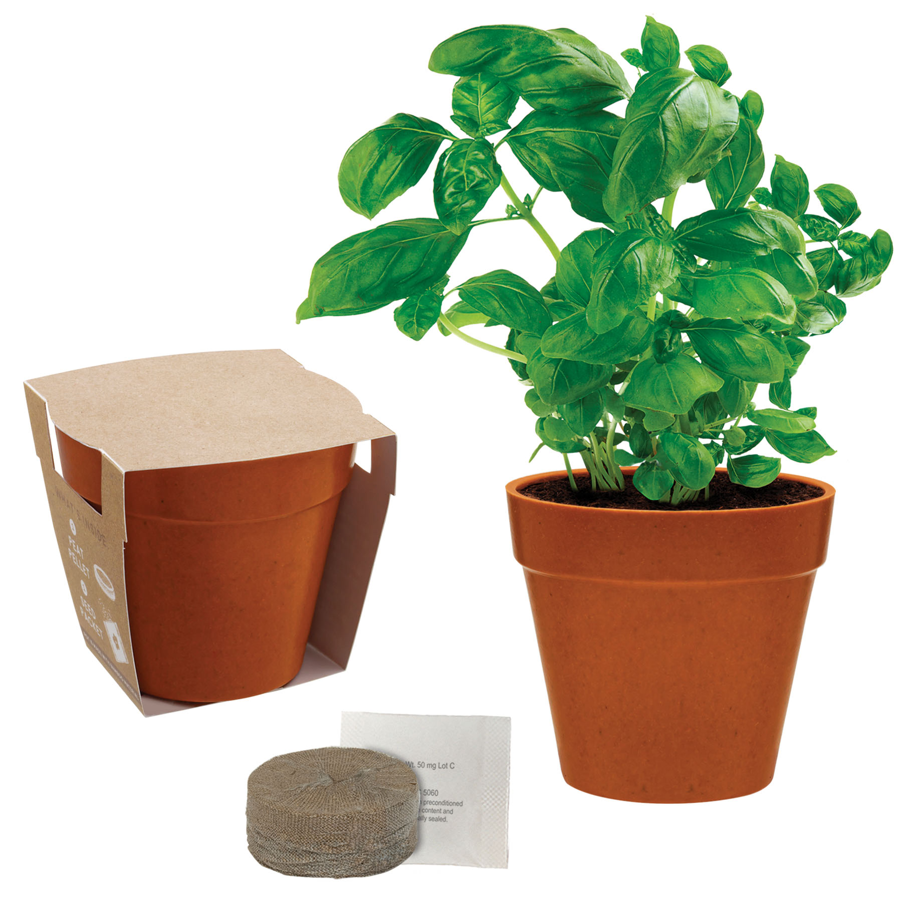 Mini Bamboo Blossom Kit 20