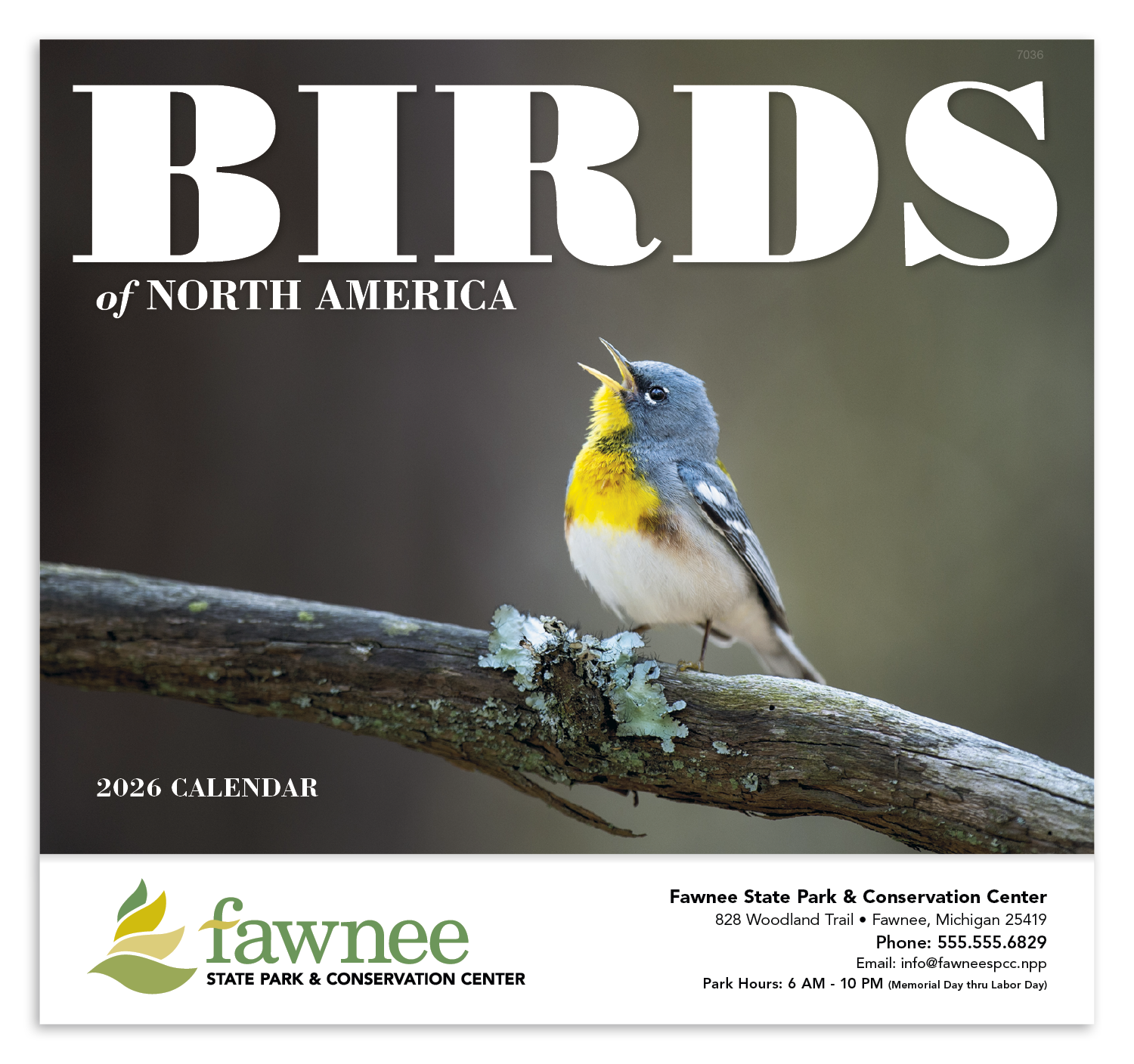 Good Value™ Birds of North America - Stapled Calendar 70