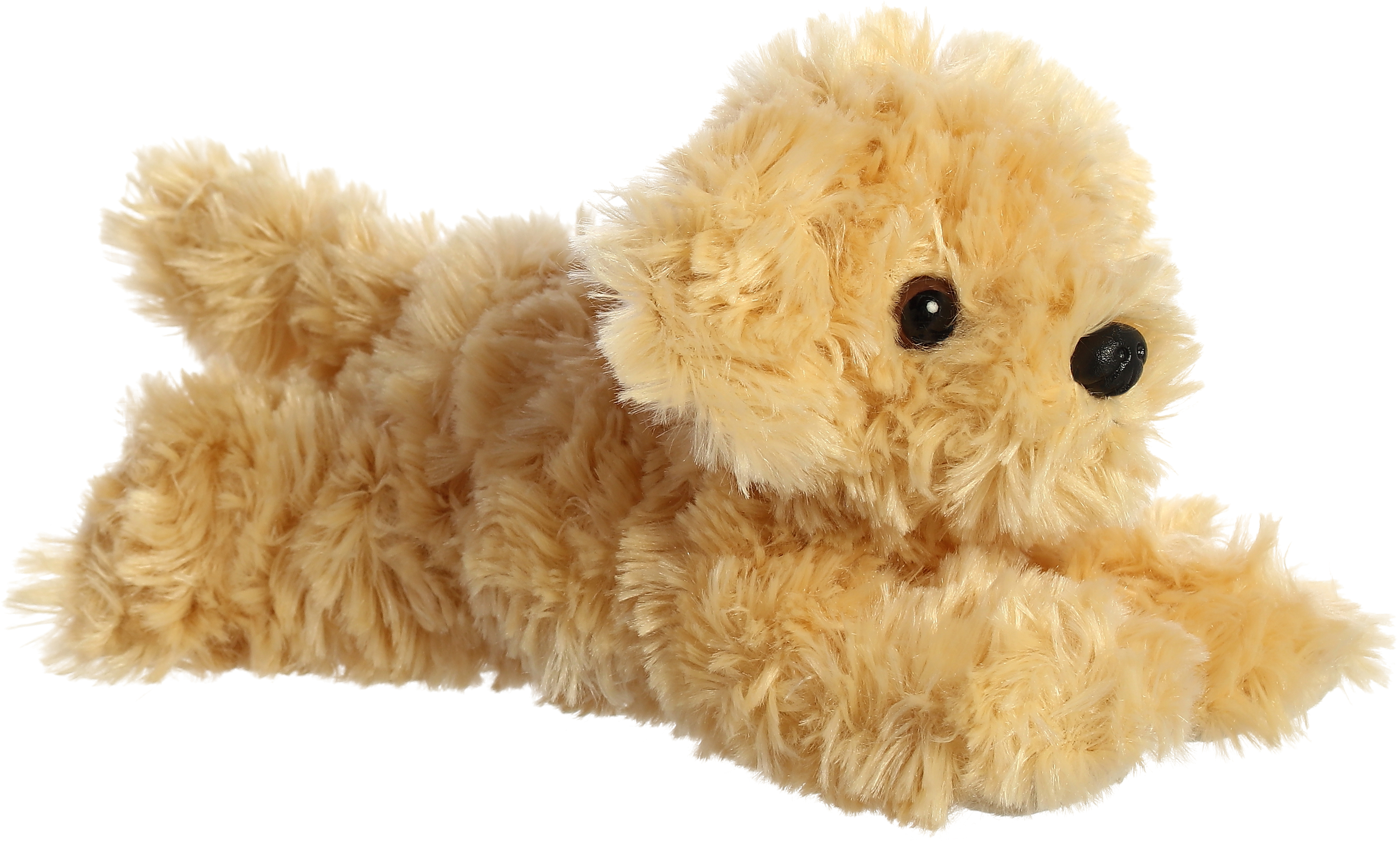 8" Golden Doodle 1