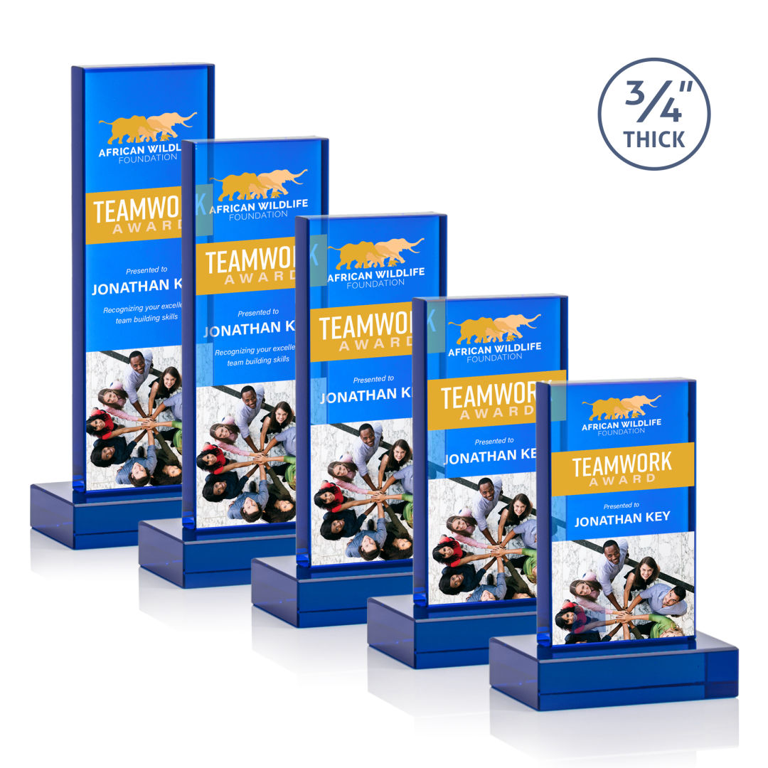 Hathaway VividPrint™ Award - Blue 6