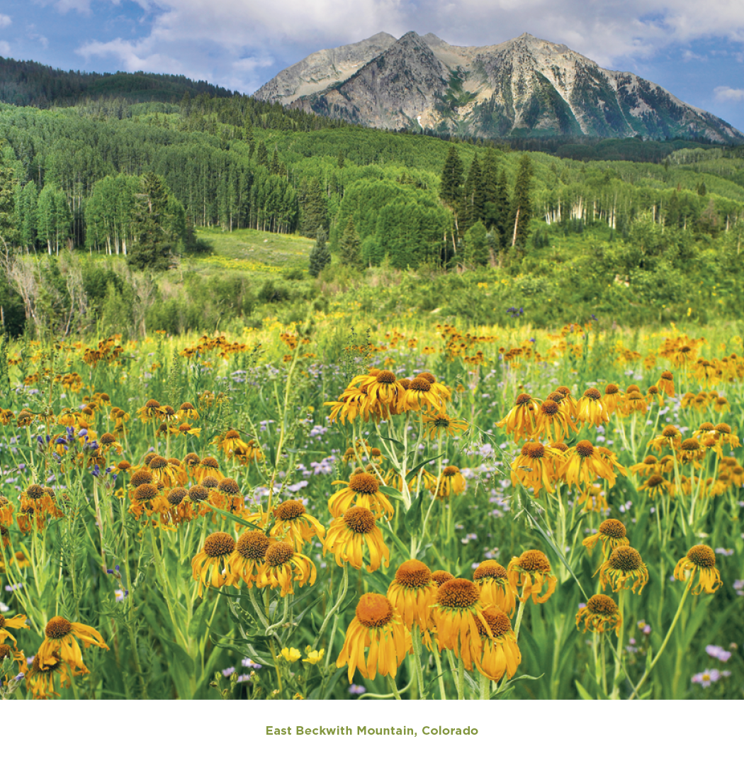 Triumph® Calendars Beautiful America Calendar 31