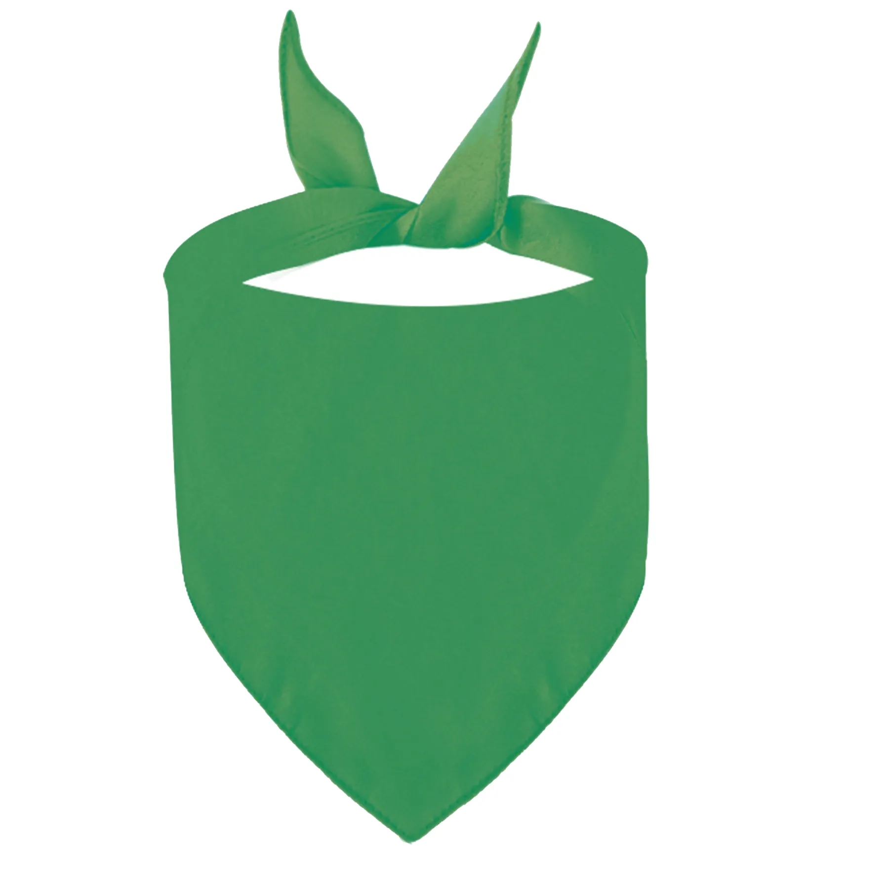 Pet Bandana 10