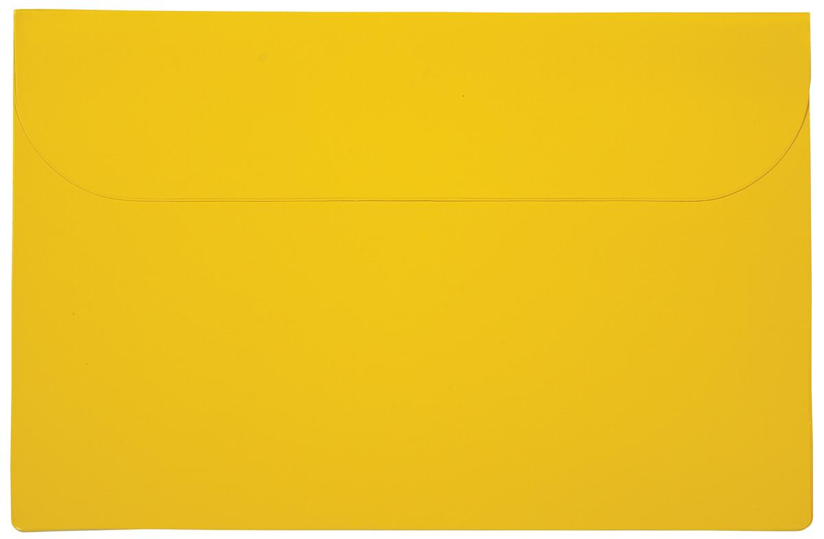 Standard Vinyl Underarm Portfolio 5