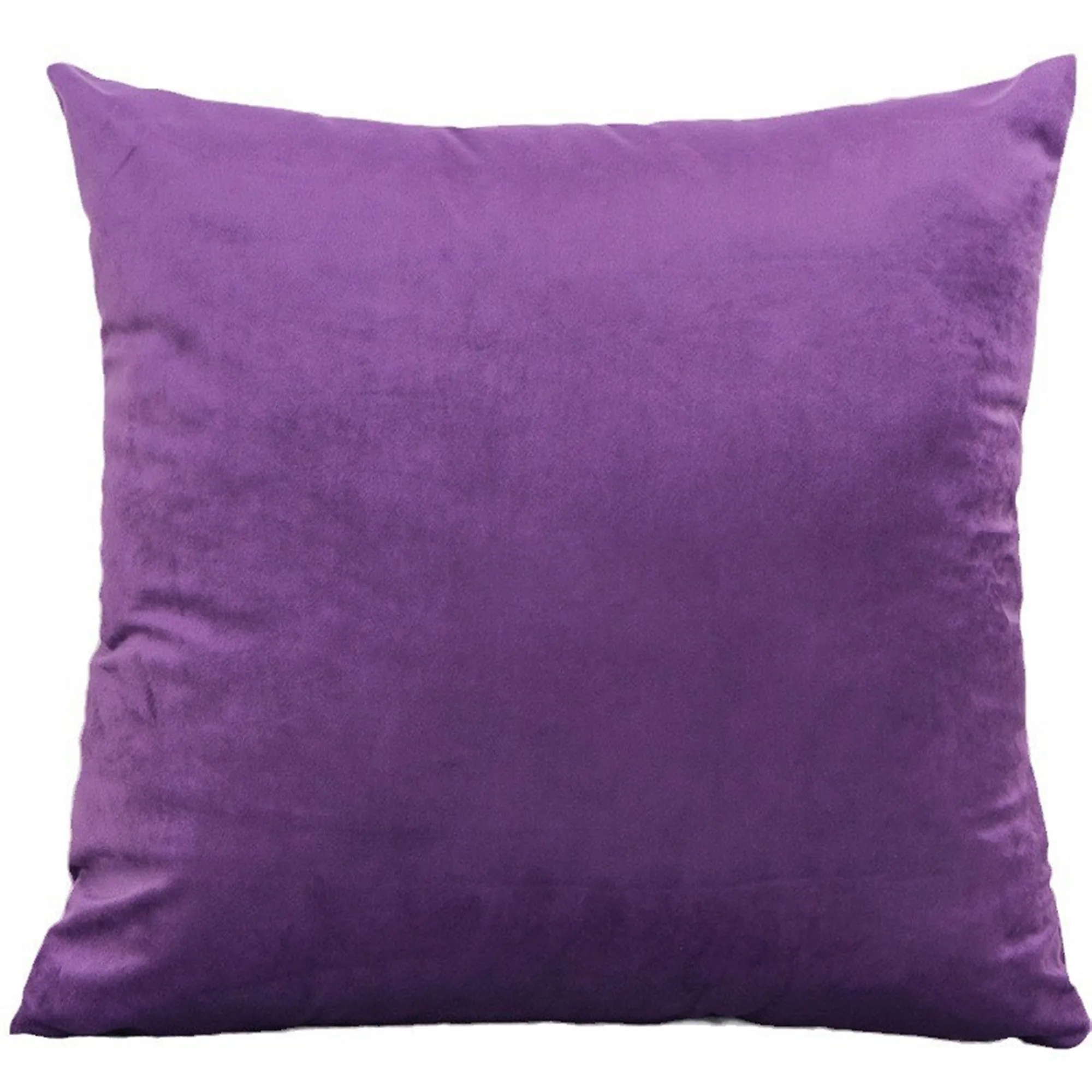 Cushion Velvet Pillow Case 2