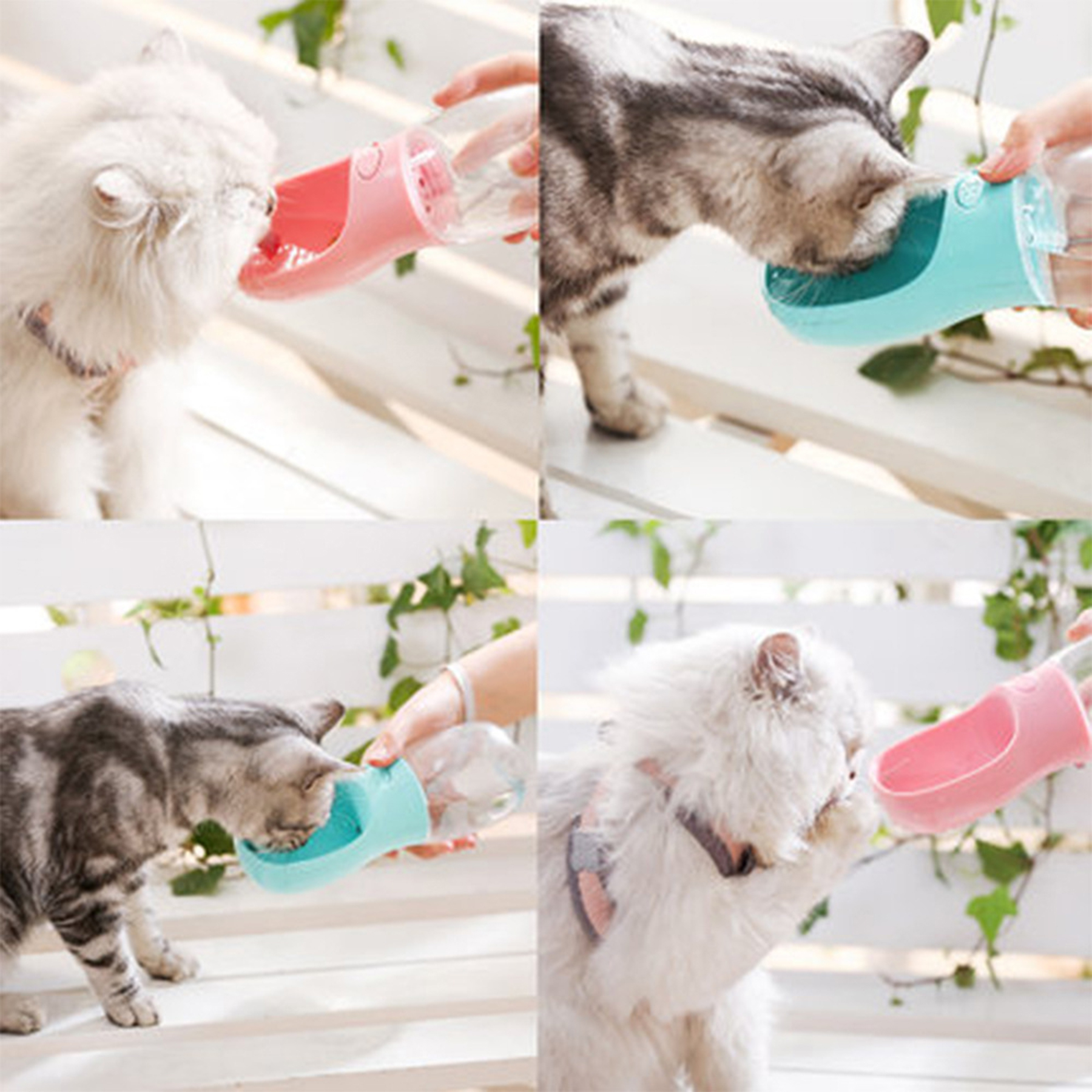 Outdoor Protable Pet Water Bottle 3