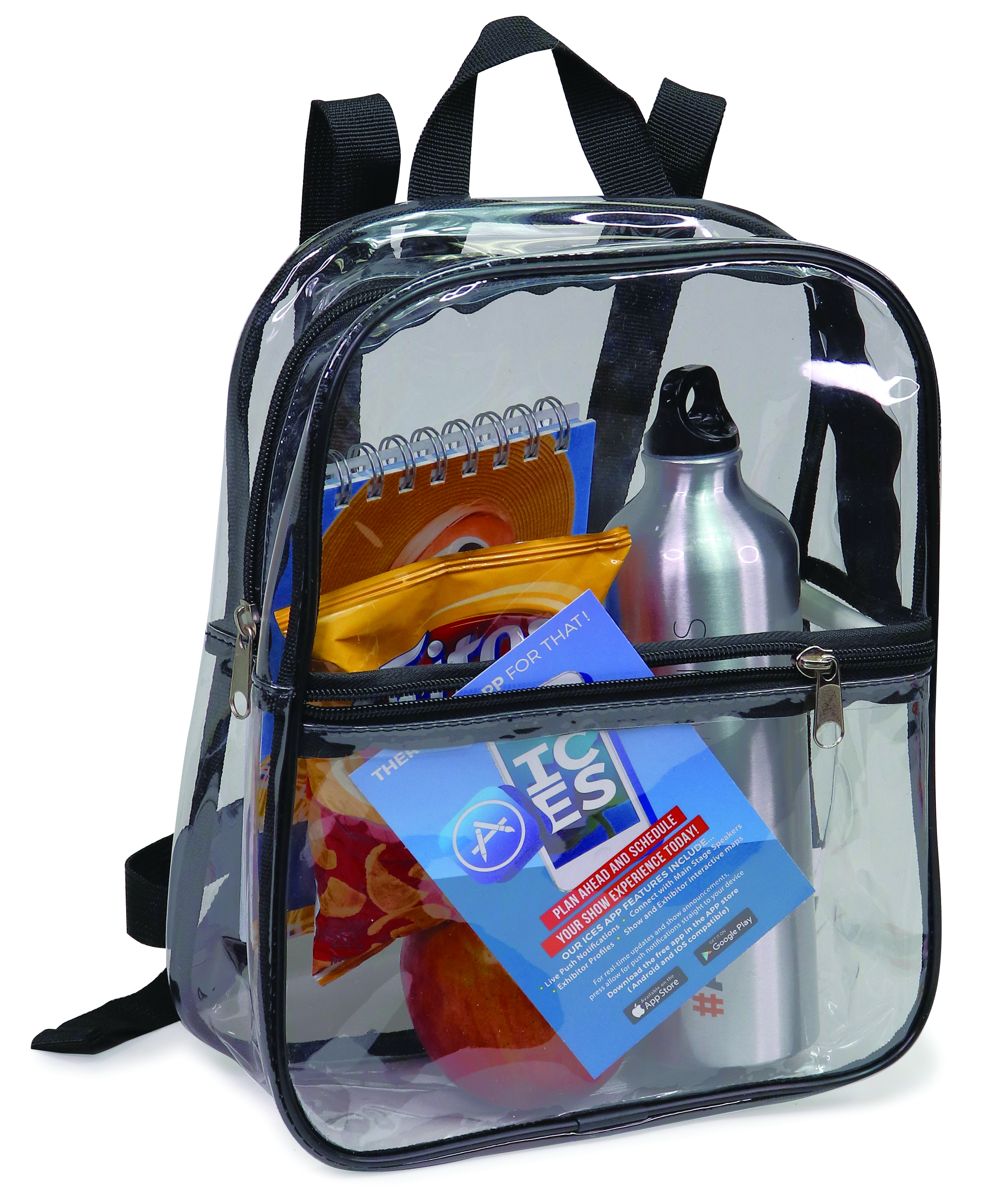 Clear Backpack 2