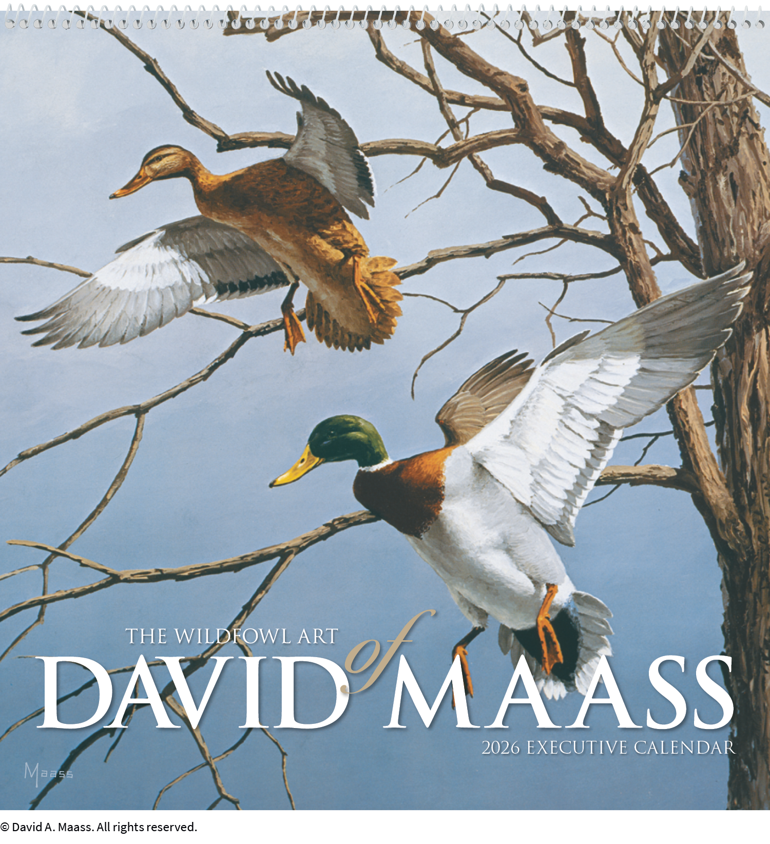 HotLine® Products David Maass Executive Calendar 11