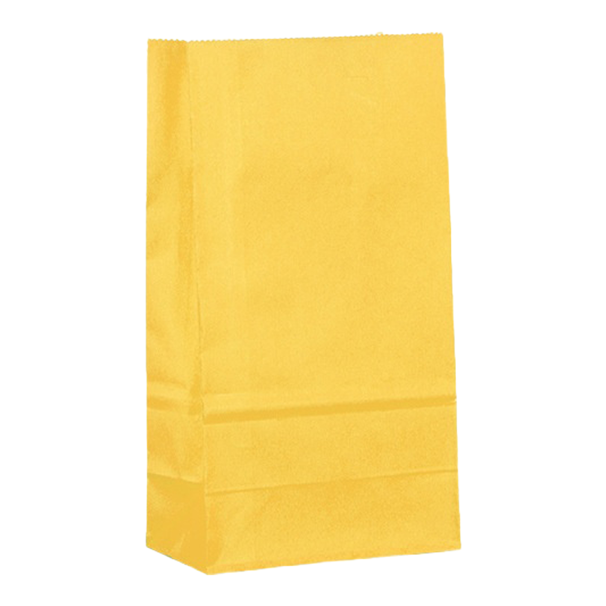 Grocery Shopping Paper Bag 3