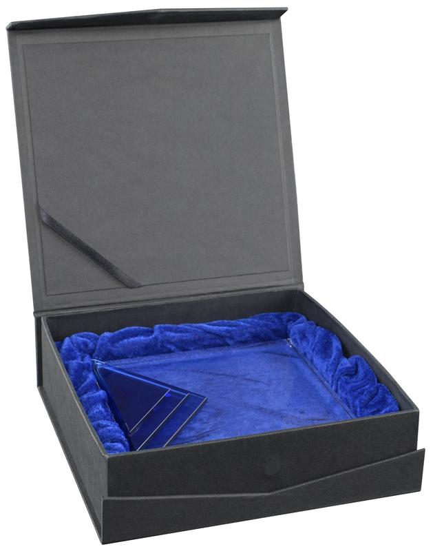 Andover Tri Level Award 2