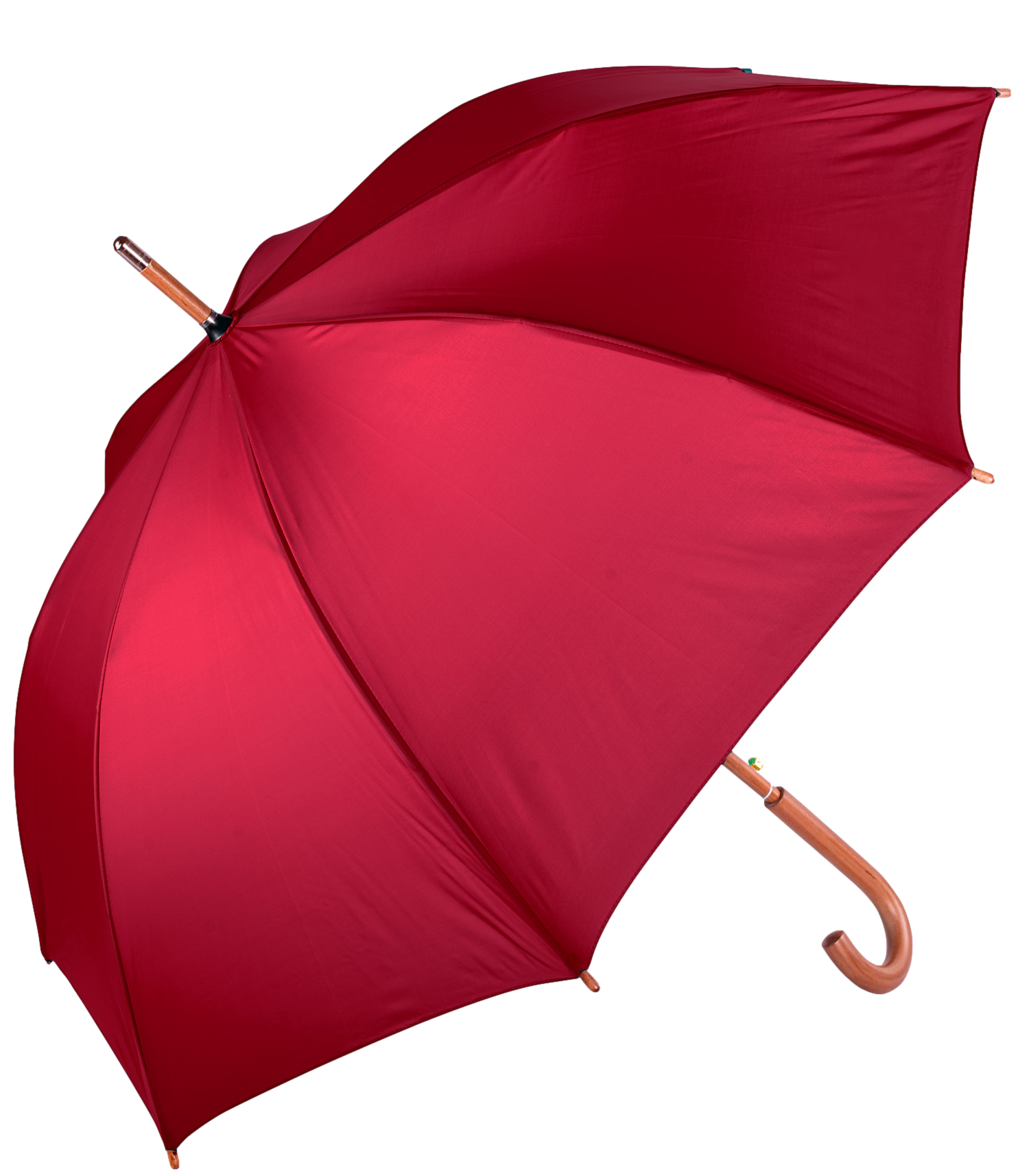The Hotel Umbrella 7