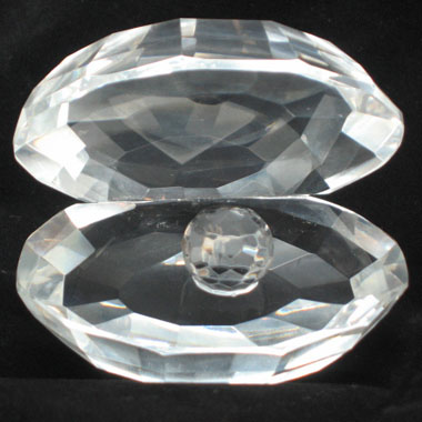 Crystal Pearl In Shell 2