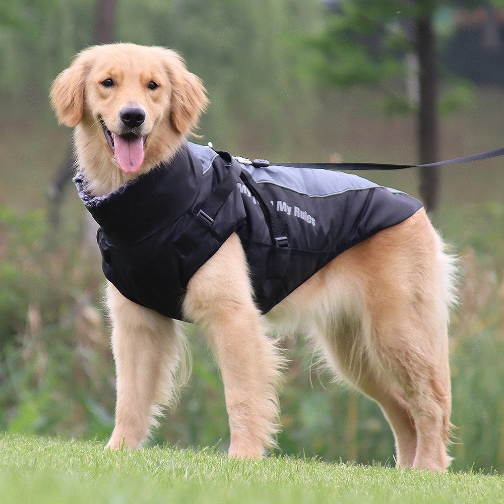 Windproof and Warm Dog Jackets 7