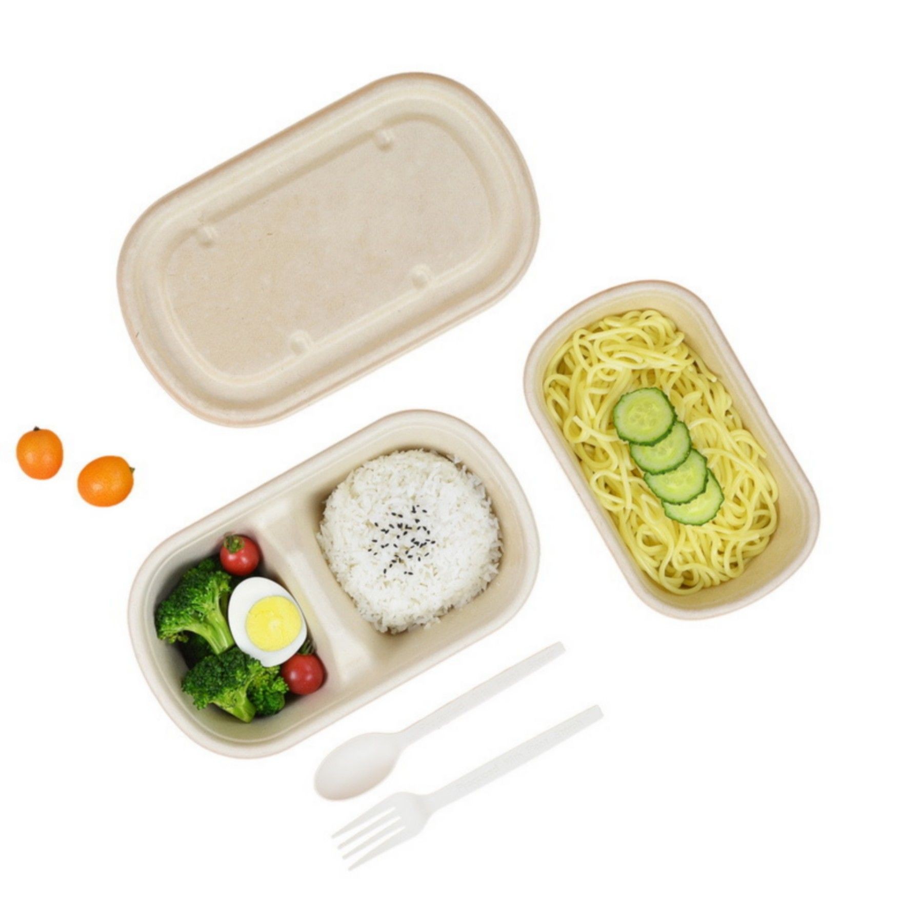 Bagasse Disposable Lunch Box Sugarcane Fiber Food Containers 4