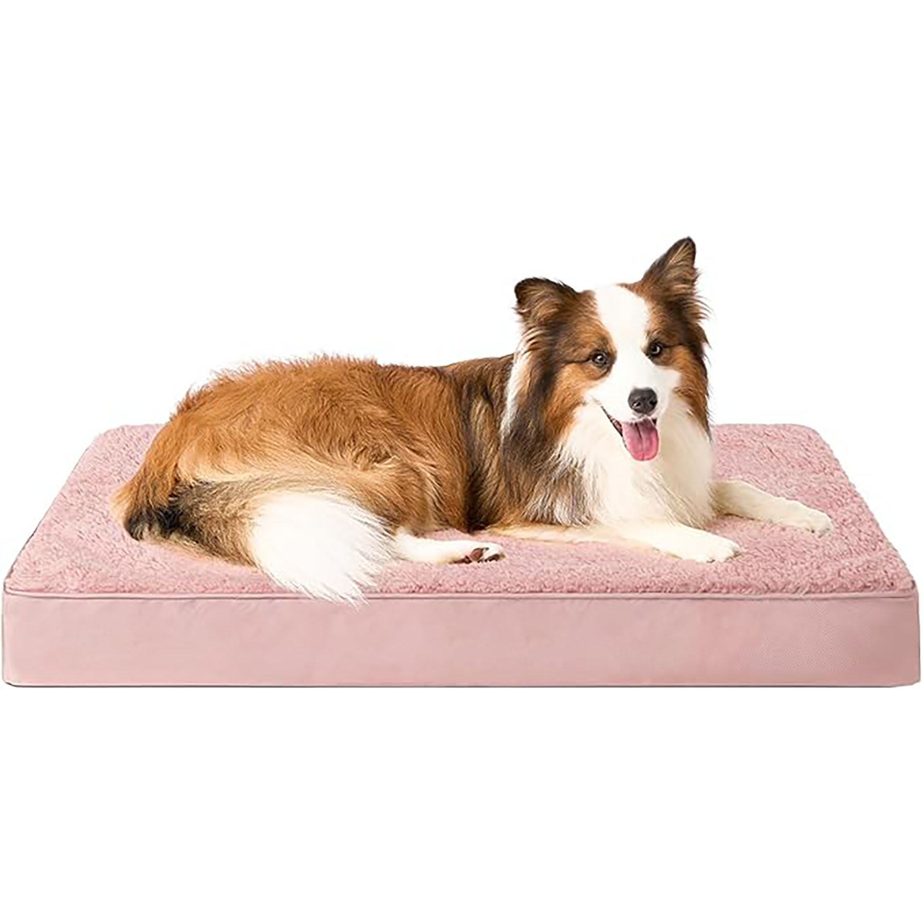Dog Beds 4