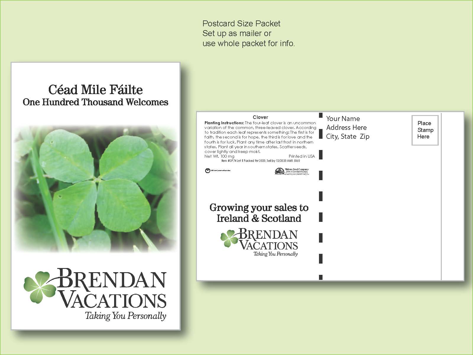 Clover Flower Seed Packet - Postcard Mailer Size 4" x 6.5" 2